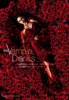 the_vampire_diaries_season_4_poster_by_noda-d57p0wz